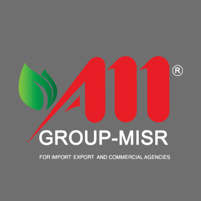 AM Group Misr logo