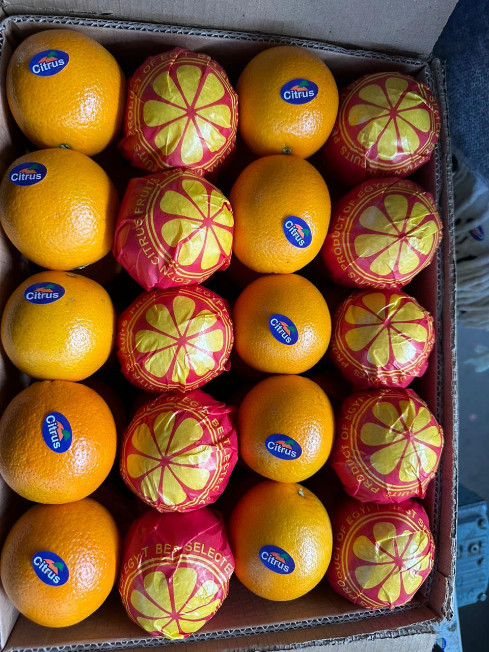 Fresh Valencia Oranges for Export | Bulk Citrus Supplier - Select Green