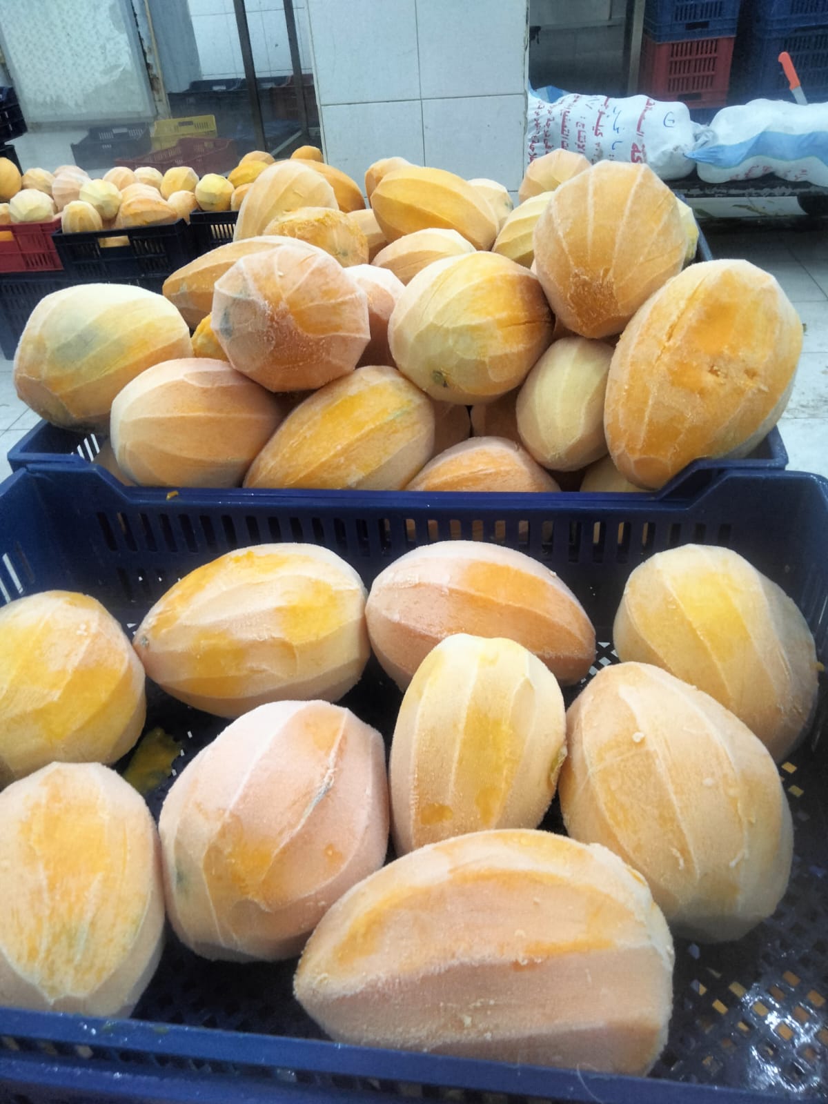 Frozen Mango for Export | Bulk Frozen Mango Supplier - selectgreens