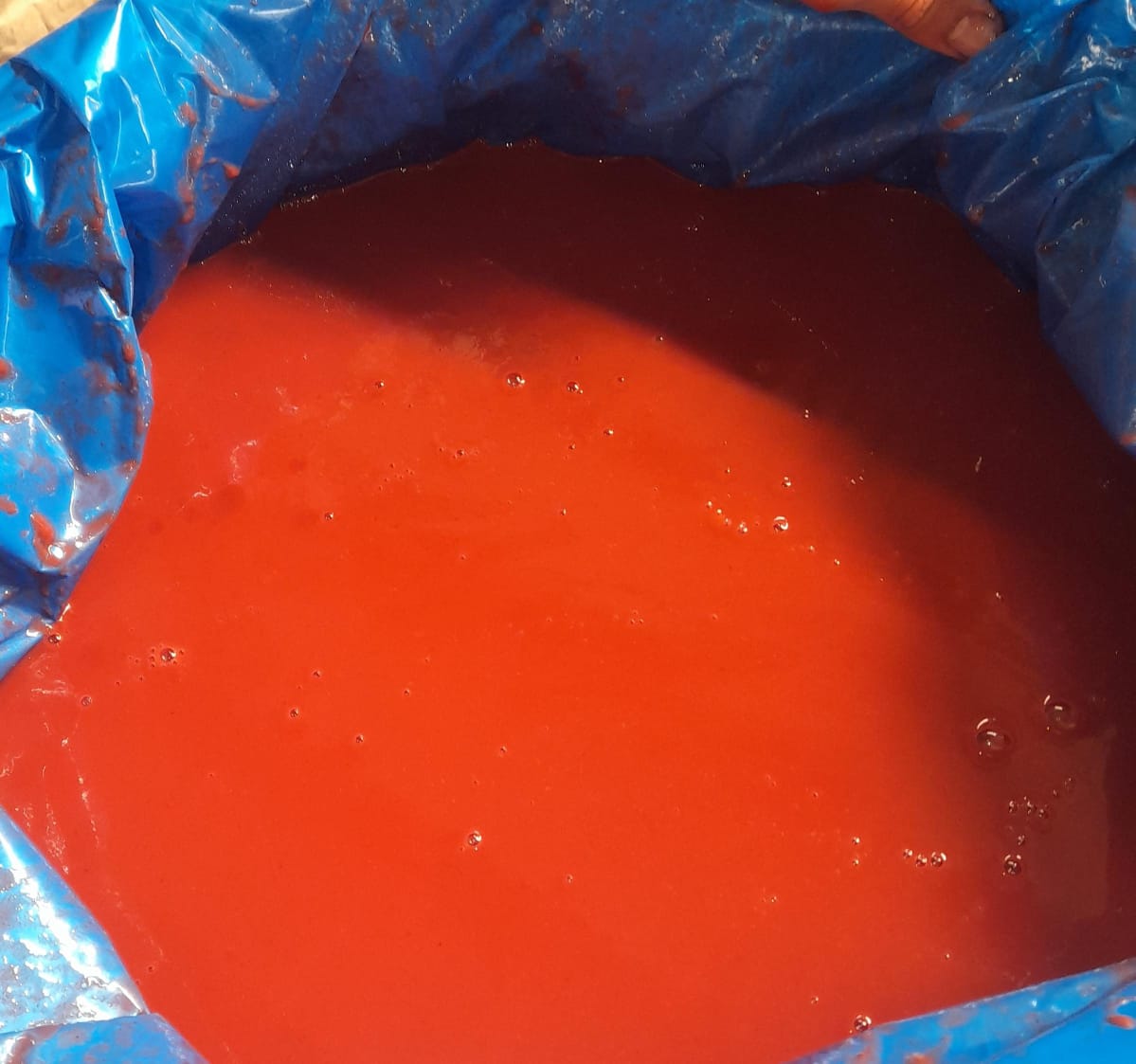 Wholesale Seedless Strawberry Puree | Premium Frozen Strawberry Puree for Food Processing