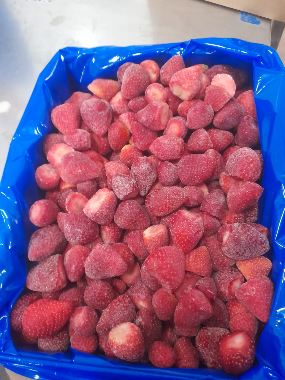 Wholesale IQF Strawberries Grade A | Bulk Frozen Strawberries 10 KG