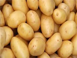 Premium Fresh Potatoes for Export | Bulk Egyptian Potatoes